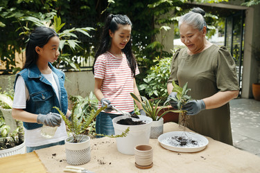 Similar image 21928658