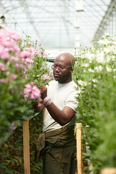 Similar image 21919123