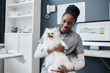 Similar image 21919212