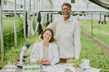 Similar image 21920816