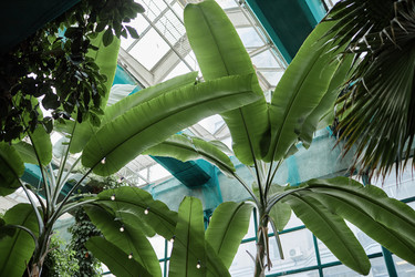 Similar image 21919569