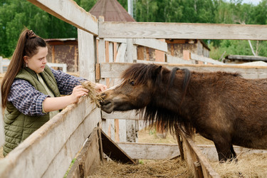 Similar image 21919191