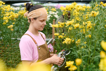 Similar image 21928931