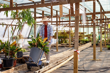 Similar image 21924086