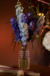 Similar image 21928093