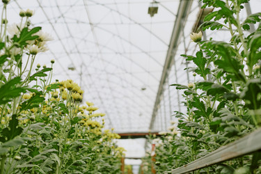 Similar image 21923833