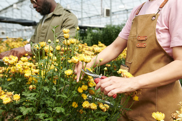 Similar image 21922472