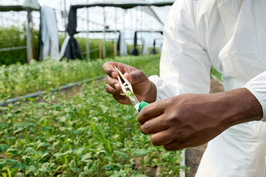 Similar image 21925557