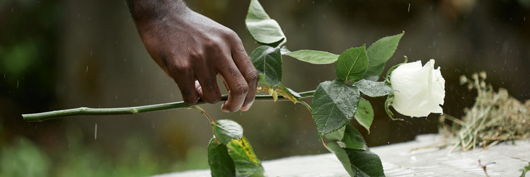 Similar image 21923594