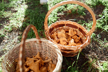 Similar image 21925264