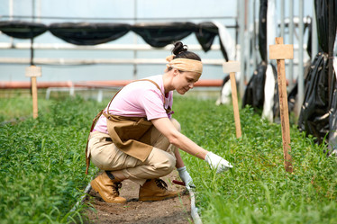 Similar image 21931067