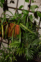 Similar image 21920533