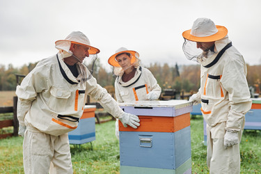 Similar image 21923892