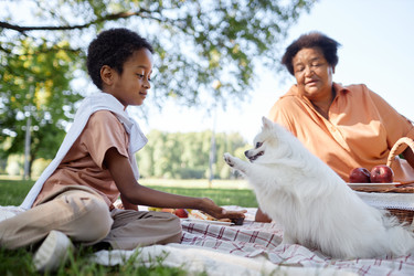 Similar image 21931642