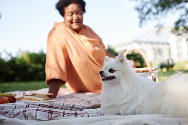 Similar image 21927187