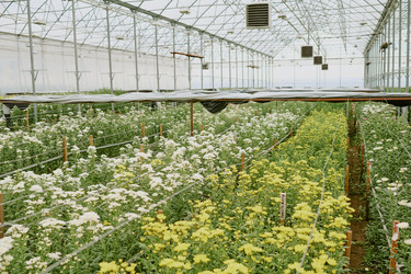 Similar image 21931969