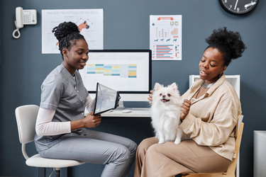 Similar image 21918496