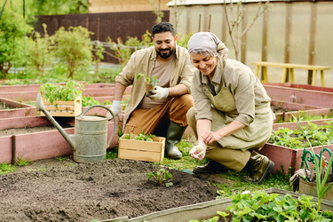 Similar image 21922954