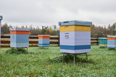 Similar image 21929014