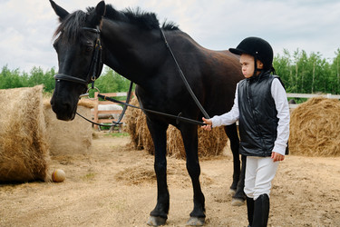 Similar image 21920280