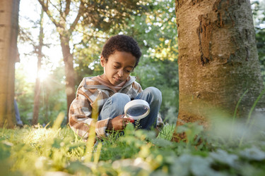 Similar image 21929977