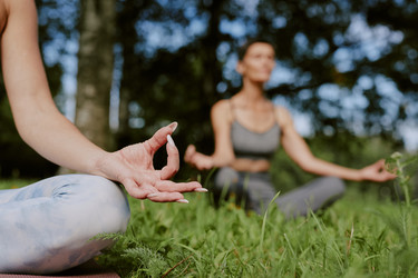 Similar image 21920942