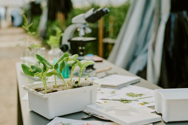 Similar image 21931489