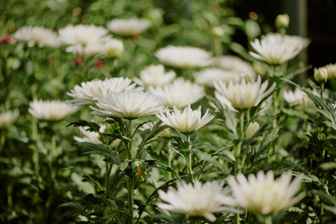 Similar image 21925554