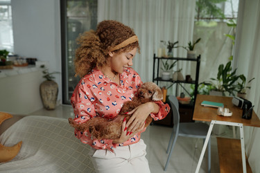 Similar image 21918520