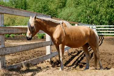 Similar image 21931303