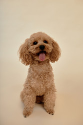 Similar image 21925993