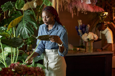 Similar image 21919350