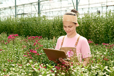 Similar image 21922241