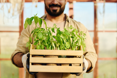 Similar image 21919355