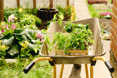 Similar image 21932249