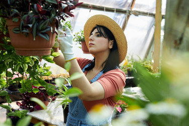 Similar image 21930558