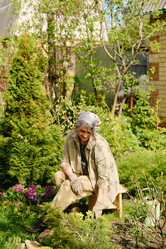 Similar image 21929031