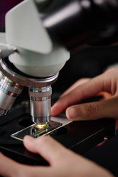 Similar image 21930008