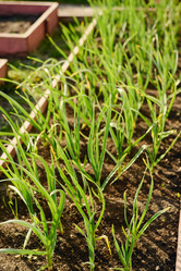 Similar image 21922857