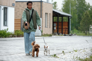 Similar image 21919456