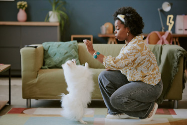 Similar image 21930451