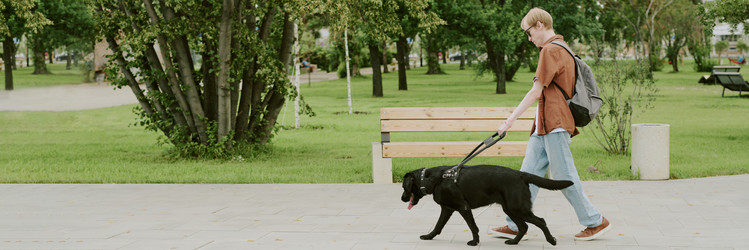 Similar image 21920925