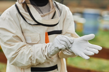 Similar image 21927573