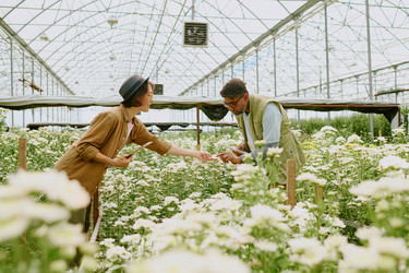 Similar image 21923577