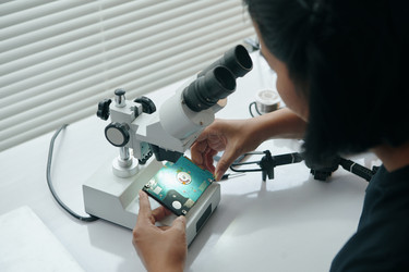 Similar image 21928719