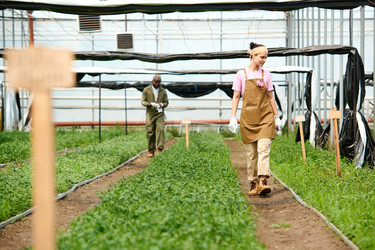 Similar image 21920177