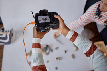 Similar image 21930246