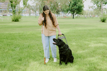 Similar image 21931613