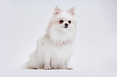 Similar image 21928357