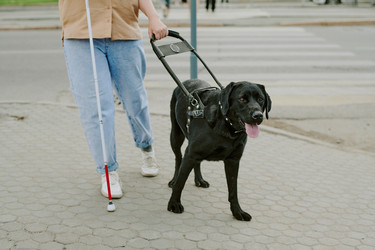 Similar image 21928825